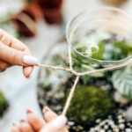 woman tying twine around the opening of a plant terrarium