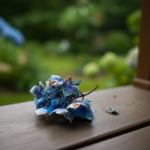 Piece of hydrangea plant that fell off